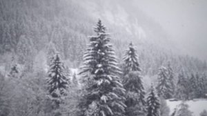 8 января - День света. Попросите и все исполнится.