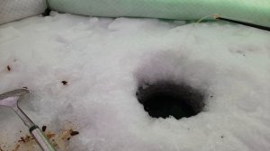 ПОКЛЁВКА на КАМЕРУ РЫБАЛКА на РЕФТЕНСКОМ. 08.01.2026