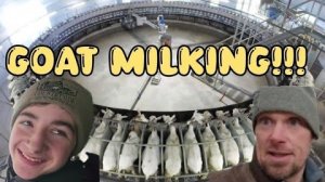 Канадская семья в НН.. Building a Goat ROTARY Milking Parlor I Farm Construction