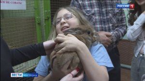 Всё о братьях меньших: в каникулы костромские школьники учатся ухаживать за животными