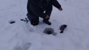 08.01.26 г. РК Волна