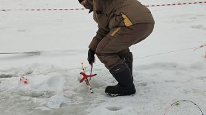 Основной водоём. Форель на пасту.