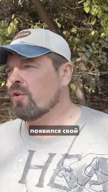 Сначала изучите историю искусства смотреть онлайн