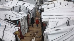 Axios сообщил о планах Трампа создать «Совет мира» по Газе