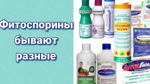 Как выбрать фитоспорин. Давайте разбираться