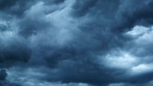 Три друга, клад и матрос Кошка - 2026 (01)