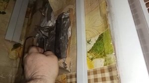 Подворье без фильтров: реальная жизнь"