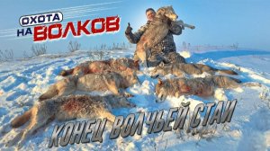 ОХОТА НА ВОЛКА.охотимся на волчью стаю!