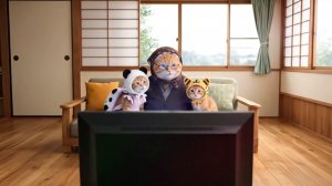 Котики и бабушка