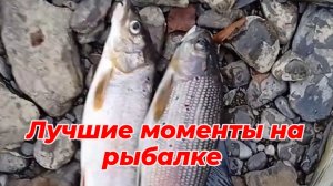 Лучшие моменты на рыбалке