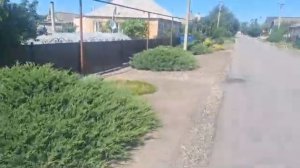 Цветники города Каменки-Днепровской