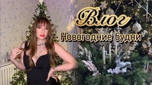 Новогодний влог. Наши будни. Штоллен. Встречаем Новый Год. Новая посуда.