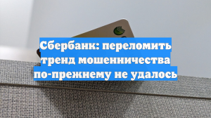 Сбербанк: переломить тренд мошенничества по-прежнему не удалось