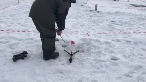 поимка форели на жерлицу