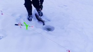 запуск от 08.01.26