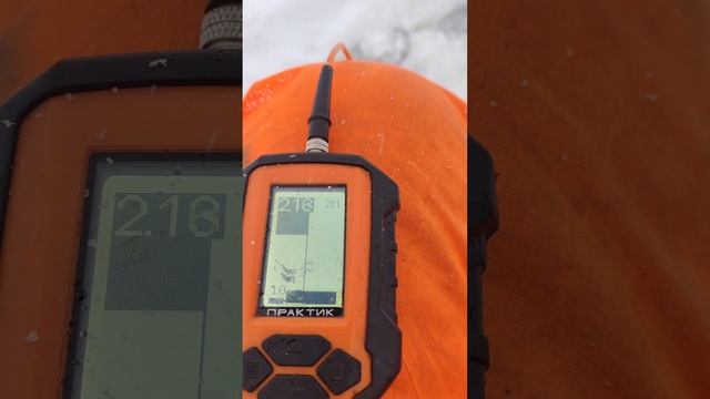 ВЫШЛИ НА ЛЕСНОЕ ОЗЕРО, А ТАМ... РЫБАЛКА В КАРЕЛИИ НА ЛАМБАХ. смотреть онлайн