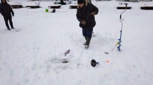 Светлые Горы Форель2 08.01.2026г.