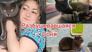 Случайная личная трагикомедия