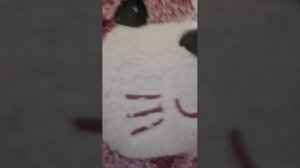 соседка с пятого этажа чокнулась