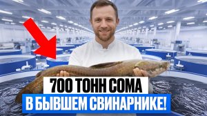 Инженерное ЧУДО. Как Устроена Крупнейшая В РОССИИ Ферма УЗВ на Африканского СОМА?