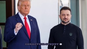 Умеров сообщил о скорой встрече Зеленского с Трампом и европейскими лидерами