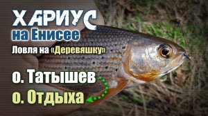 Хариус на Енисее. Ловля на "Деревяшку" на двух островах в центре города.