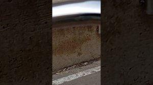 здеся я тоже в магозинчик шла 👍👍👍👍👍👍👍👍👍👍