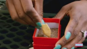 Люблю песок. ПЕРЕВОД. Странности