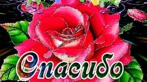 Признательность без границ. С днём спасибо. Самая лучшая музыкальная открытка.