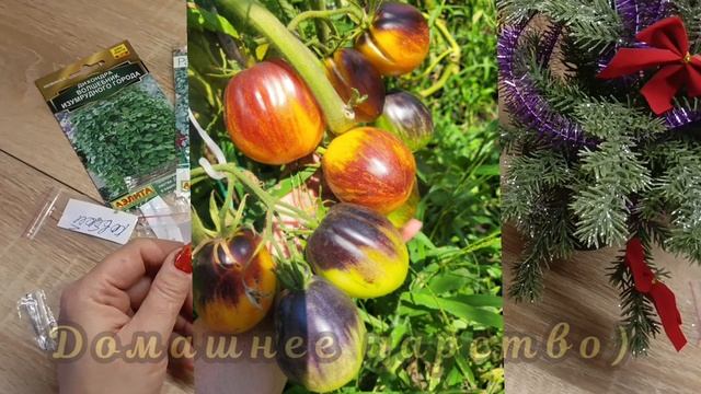 ТОМАТЫ - Супер урожайные сорта!