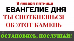 9 января Евангелие дня Самая страшная история о неблагодарности. Притча о злых виноградарях.
