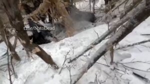 СВО штурм без лоска