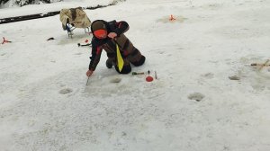 Основной водоём. Дуплет.