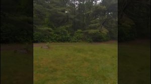 Горы Аппалачи, это самое мистическое место в мире