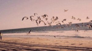 Ричард Клайдерман - Море