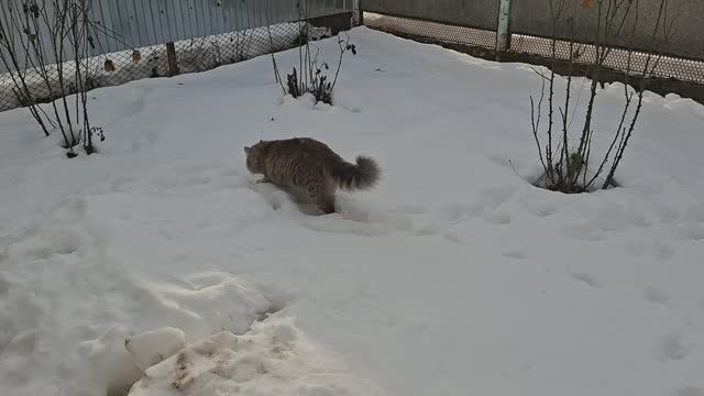 Наварила борща, стираю кухонные полотенца смотреть онлайн