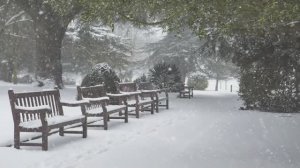 По снегу летящему с неба