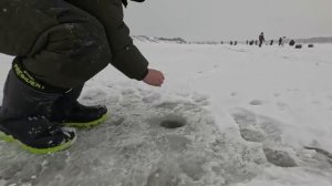 ВЗЯЛ ПАРНЕЙ НА РЫБАЛКУ! Рыбалка январь 2026 год!