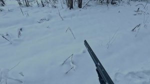 Охота на зайца с русской гончей 03.01.2026