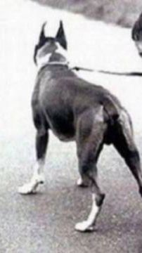 Баррелина!@@@@@!!😆