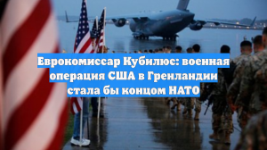Кубилюс: если США применят военную силу в Гренландии, НАТО придется защитить ее