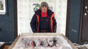 итоговый улов форели