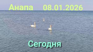 Анапа 08.01.2026 Сегодня