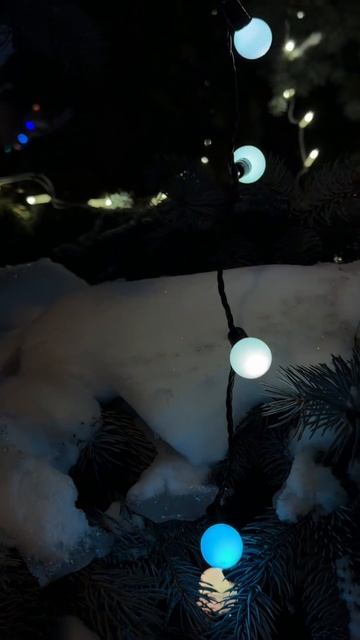 Зимняя эстетика АлтГУ смотреть онлайн