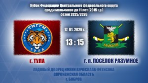 17.01.2026_13.15_2015 г.р._ХК "ТИГРЫ" (г. Тула) - ХК "МАЙСКИЙ" (г.п. ПОСЕЛОК РАЗУМНОЕ)
