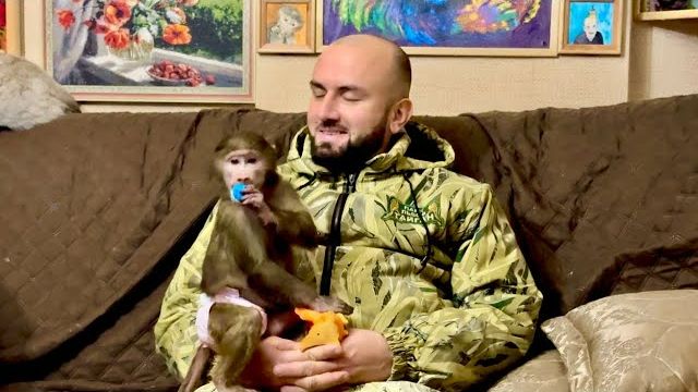 Финя затретировал Басю, а Анфиса так полюбила Дениса что от него не отходит))) смотреть онлайн