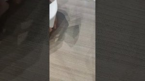 лягушка из бумаги