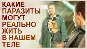 Эффективные методы очищения организма от паразитов