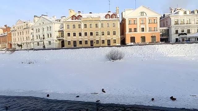 Уточки в Пскове смотреть онлайн