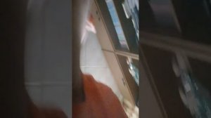 урртвтруипкипутркнтктое пу ПК ркрик